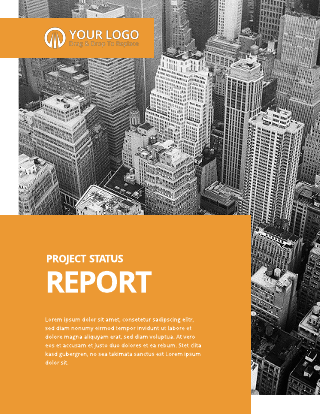 Orange Squares Project Report Template