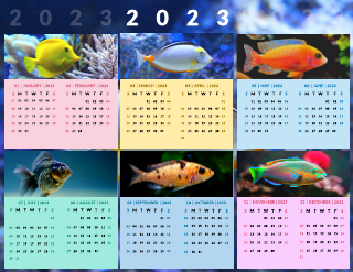 Fish Photo Calendar Template