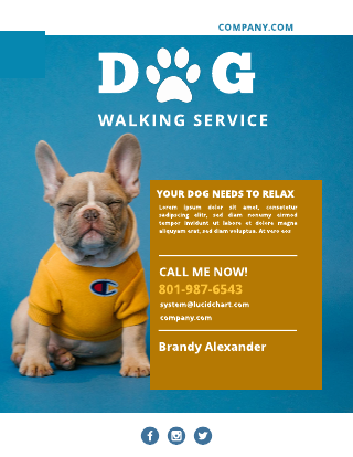 Blue and Yellow Brown Dog Walking Flyer Template