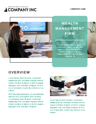 Minimal Layout Wealth Management Case Study Template