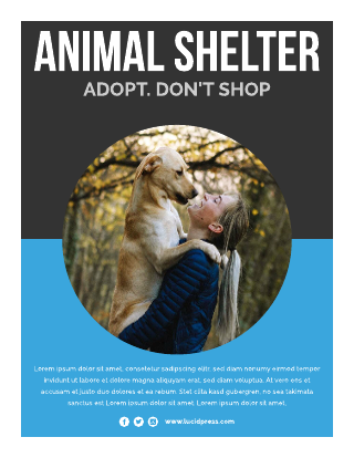 Animal Shelter Media Kit Template