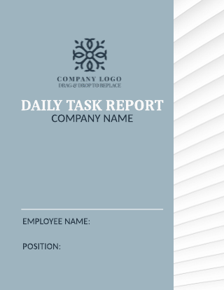 Soft and Simple Company Daily Task Report Template