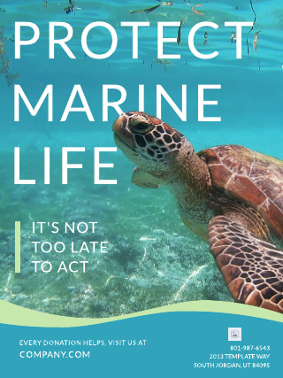 Animal Rights Turtle Poster Template