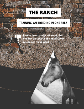 Horse Retro Poster Template