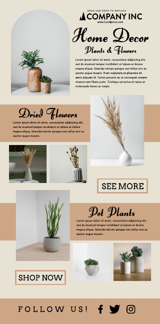 Home Decor Plants Email Newsletter Template