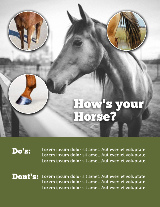 Horse Green Poster Template
