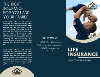 Dark Blue Light Brown Grey Insurance Brochure Template