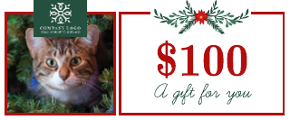 Cute Cat and Garlands Christmas Coupon Template