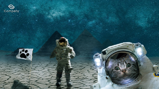Space kitty Zoom background