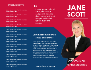 Campaign Platform Blue and Red Brochure Template