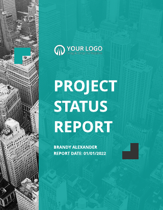 Cyan Gray Project Status Report Template